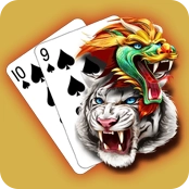 dragon tiger india