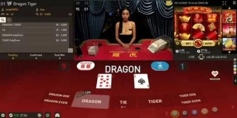 Dragon Tiger Master Online